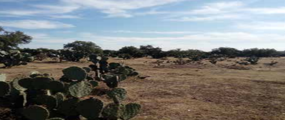 Foto de terreno habitacional en venta en camino zanja vieja , tepojaco, tizayuca, hidalgo, 30336153 No. 05