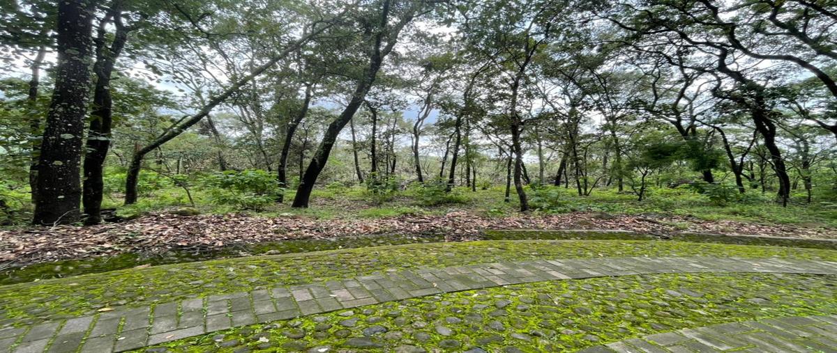 Foto de terreno habitacional en venta en caminos de los halcones , teuchitlán, teuchitlán, jalisco, 25605441 No. 03