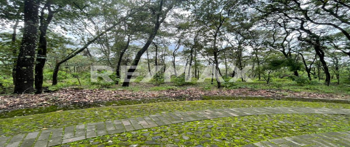 Foto de terreno habitacional en venta en caminos de los halcones , teuchitlán, teuchitlán, jalisco, 0 No. 03