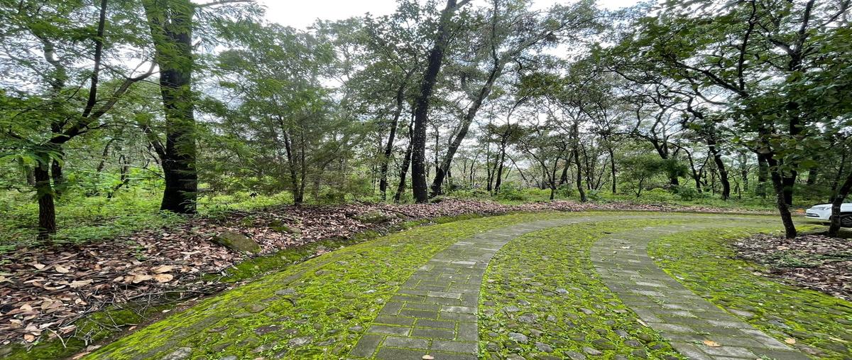 Foto de terreno habitacional en venta en caminos de los halcones , teuchitlán, teuchitlán, jalisco, 25605441 No. 04