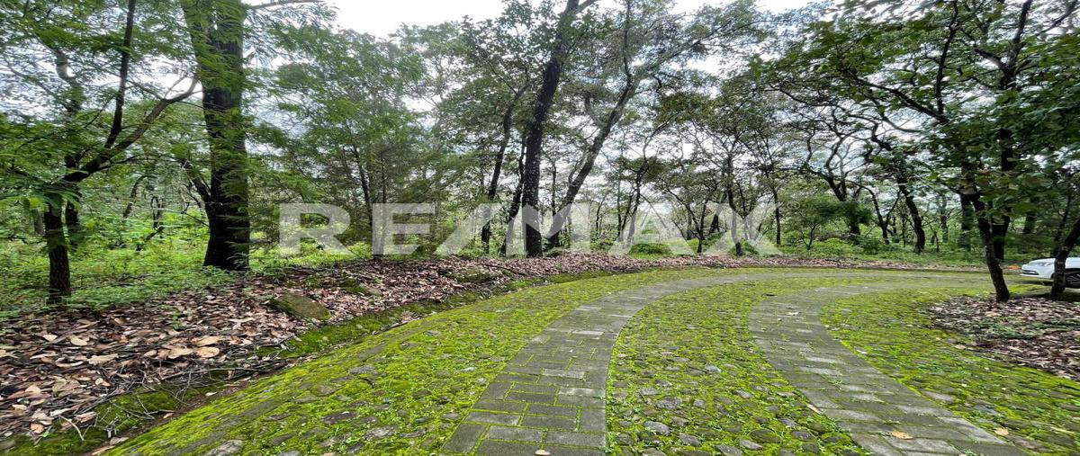 Foto de terreno habitacional en venta en caminos de los halcones , teuchitlán, teuchitlán, jalisco, 0 No. 04