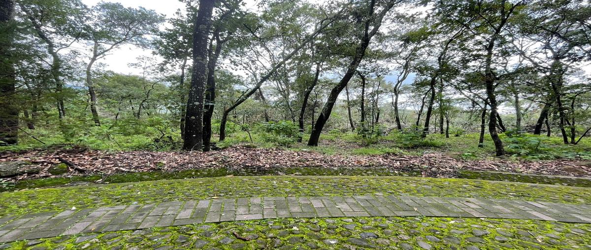 Foto de terreno habitacional en venta en caminos de los halcones , teuchitlán, teuchitlán, jalisco, 25605441 No. 05
