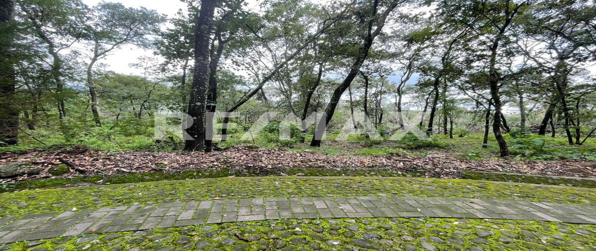 Foto de terreno habitacional en venta en caminos de los halcones , teuchitlán, teuchitlán, jalisco, 0 No. 05