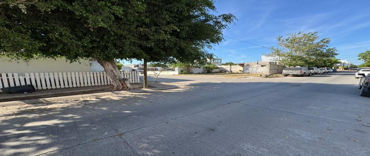 Foto de casa en renta en  , campanario, ahome, sinaloa, 0 No. 03