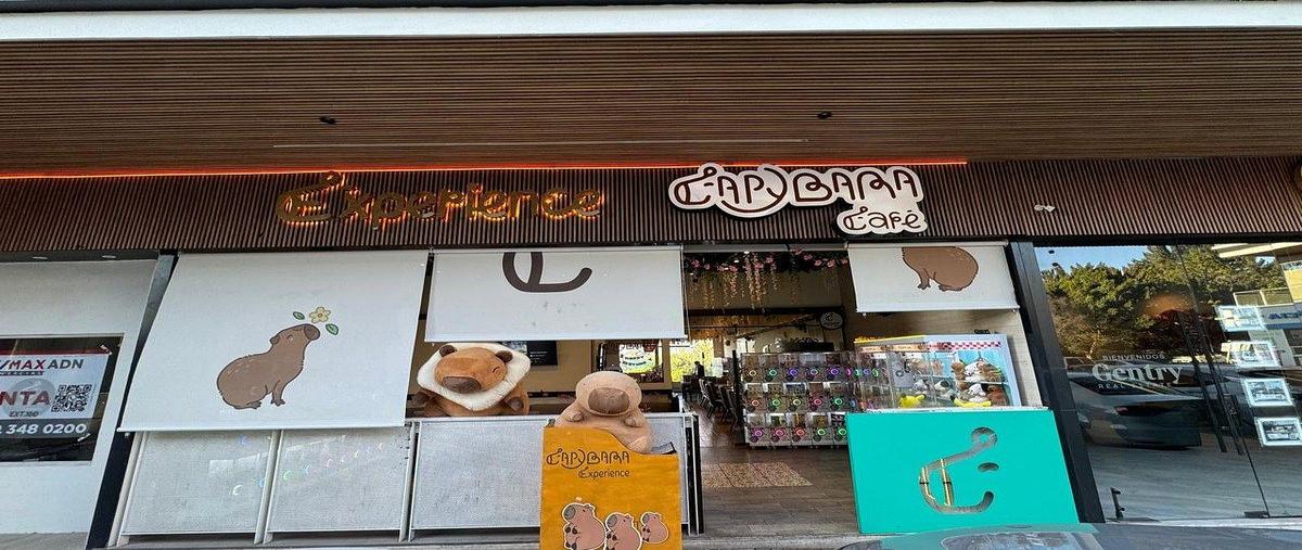 Foto de local en campanario , el campanario, querétaro, querétaro, 0 foto 01 Foto de local en venta en campanario , el campanario, querétaro, querétaro, 0 No. 01