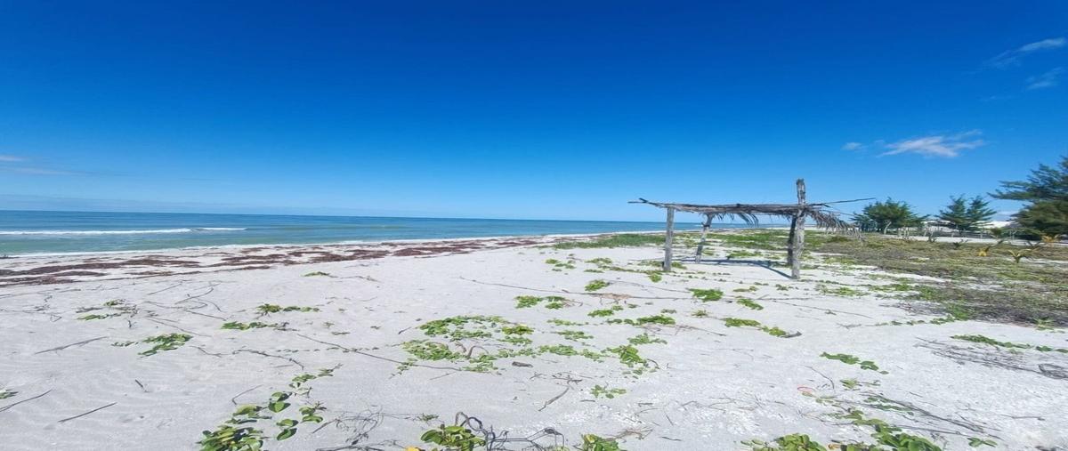 Foto de terreno habitacional en venta en  , campeche 1, campeche, campeche, 0 No. 04