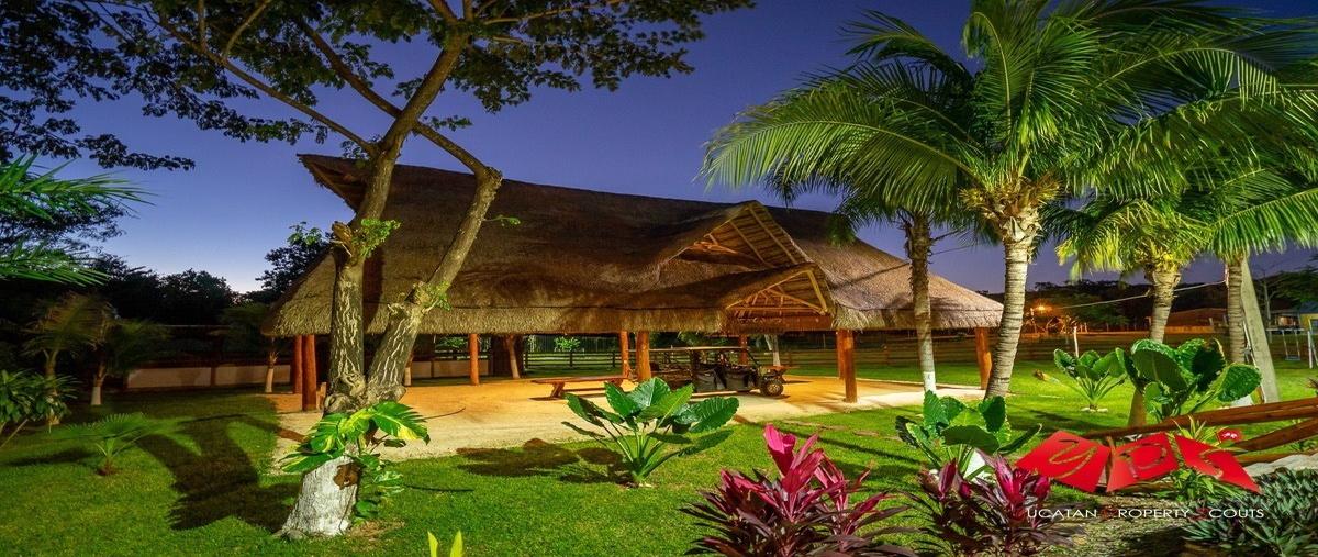 Foto de rancho en venta en campeche-hopelchen , colonias, campeche, campeche, 28133715 No. 01