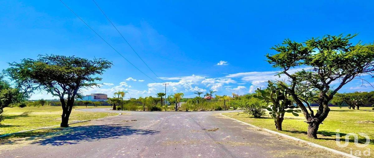 Foto de terreno habitacional en venta en campestre amapolas 258, el tanque de los jimenez, aguascalientes, aguascalientes, 30801236 No. 03