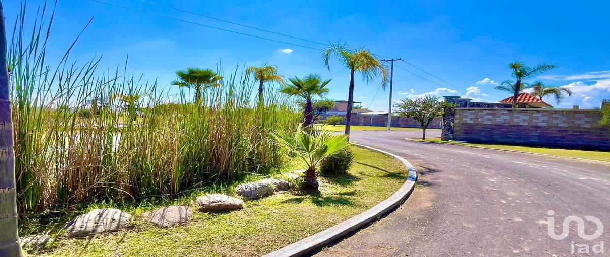 Foto de terreno habitacional en venta en campestre amapolas 258, el tanque de los jimenez, aguascalientes, aguascalientes, 30801236 No. 04
