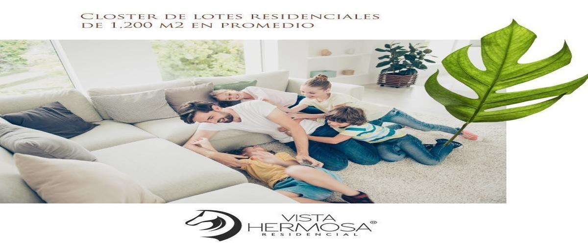 Foto de terreno habitacional en venta en  , campestre, benito juárez, quintana roo, 24687033 No. 05
