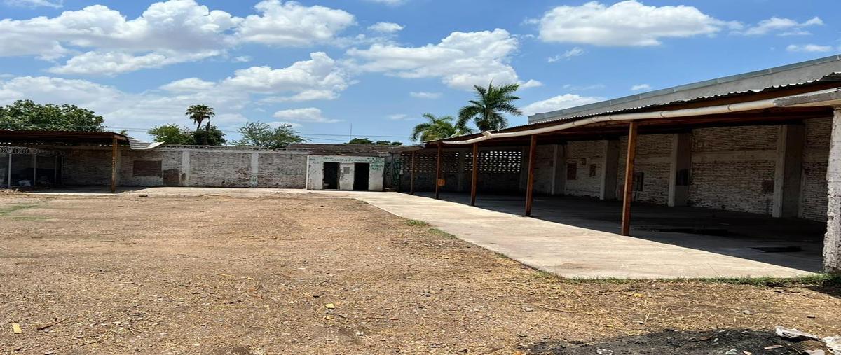 Foto de terreno habitacional en renta en  , campestre, cajeme, sonora, 26856655 No. 03