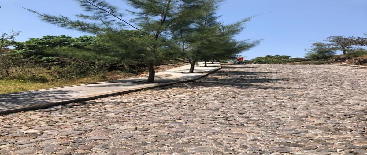 Foto de terreno habitacional en venta en campestre colinas del bosque , cofradía de suchitlán, comala, colima, 0 No. 05