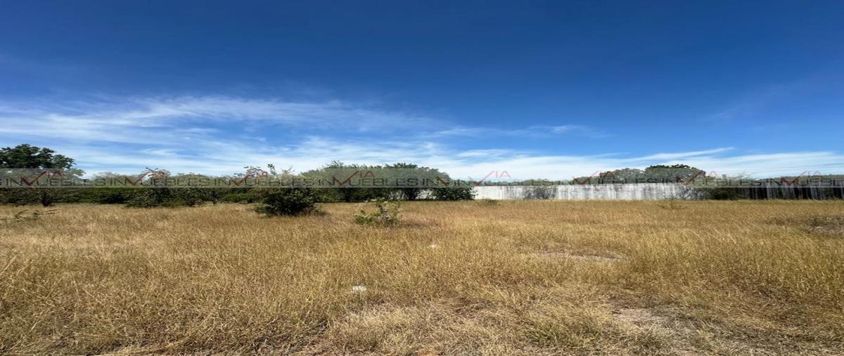 Foto de rancho en venta en  , campestre don arnulfo, montemorelos, nuevo león, 30176034 No. 03