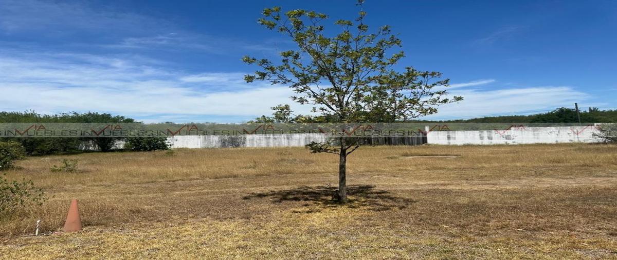 Foto de rancho en venta en  , campestre don arnulfo, montemorelos, nuevo león, 30176034 No. 04