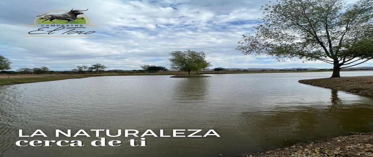 Foto de terreno habitacional en venta en campestre el toro , carboneras, culiacán, sinaloa, 0 No. 05