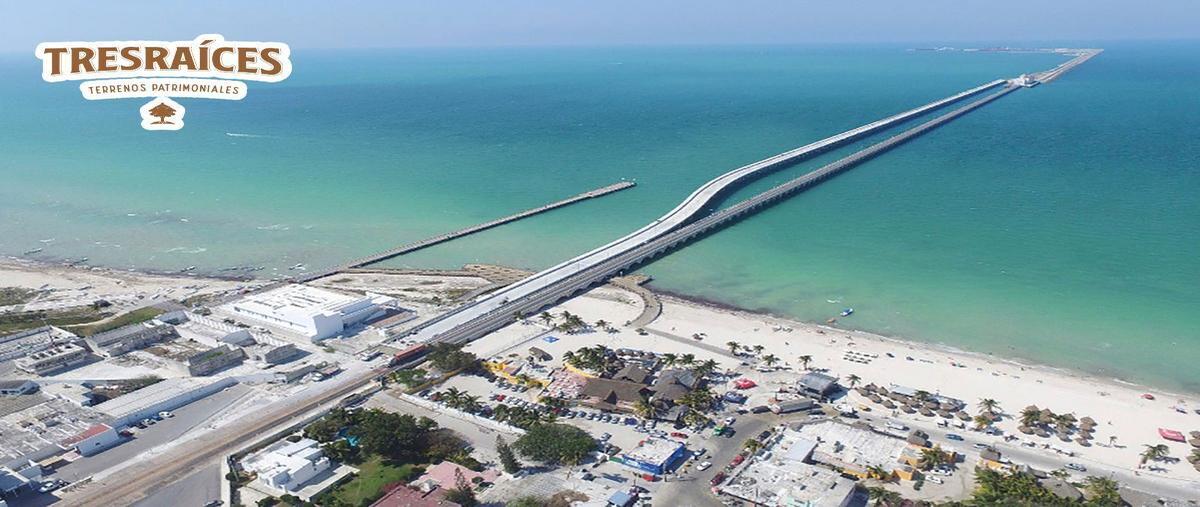 Foto de terreno habitacional en venta en  , campestre flamboyanes, progreso, yucatán, 28051302 No. 03