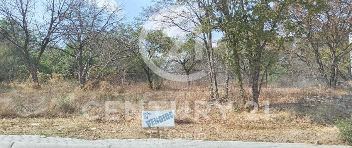 Foto de terreno habitacional en venta en  , campestre haras, amozoc, puebla, 24846427 No. 04