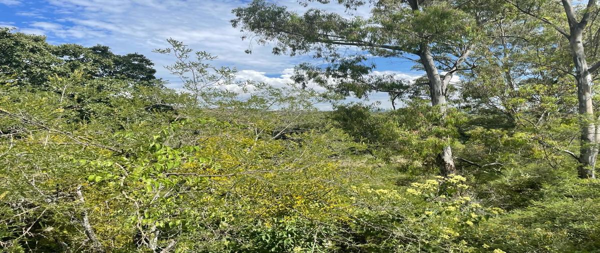 Foto de terreno habitacional en venta en  , campestre haras, amozoc, puebla, 0 No. 03