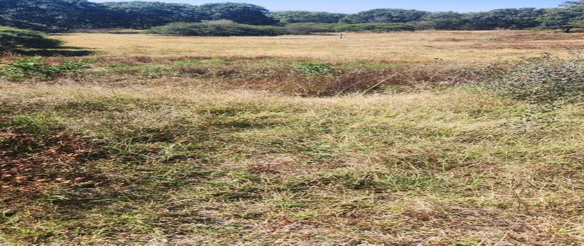 Foto de terreno habitacional en venta en  , campestre haras, amozoc, puebla, 0 No. 05