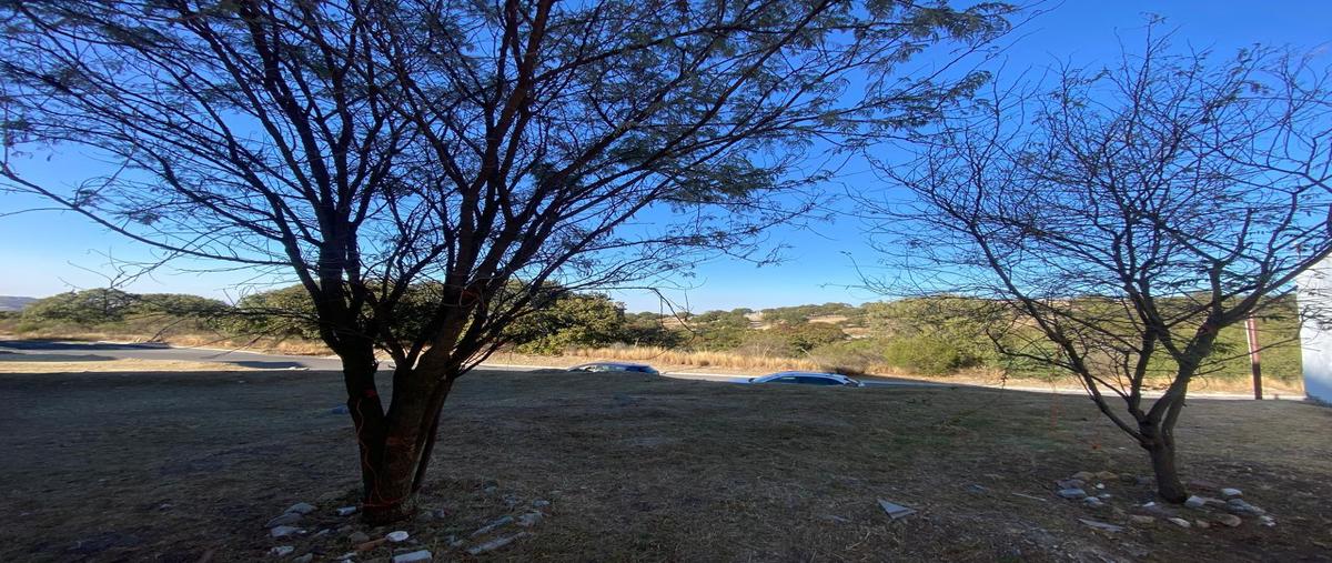 Foto de terreno habitacional en venta en  , campestre haras, amozoc, puebla, 0 No. 03