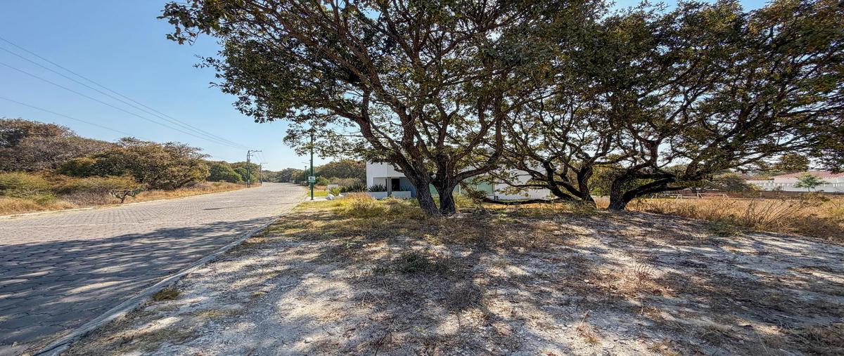 Foto de terreno habitacional en venta en  , campestre haras, amozoc, puebla, 0 No. 04