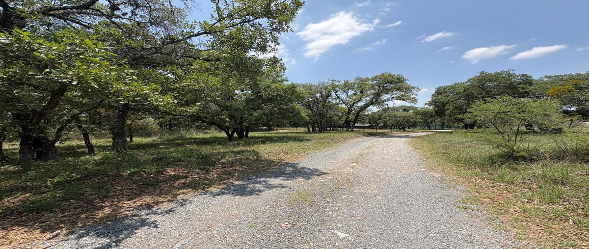 Foto de terreno habitacional en venta en  , campestre haras, amozoc, puebla, 0 No. 05