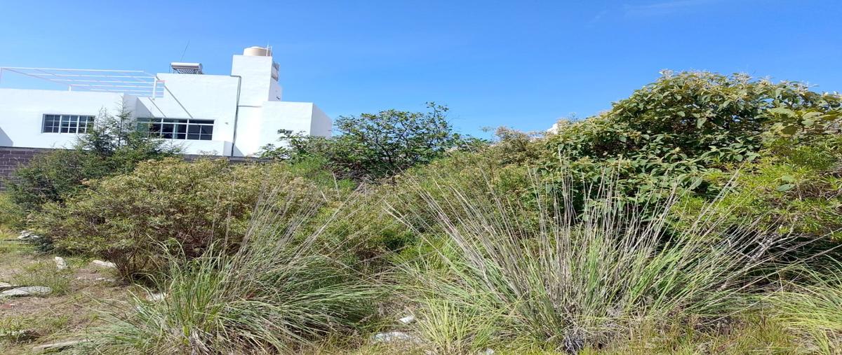 Foto de terreno habitacional en venta en  , campestre haras, amozoc, puebla, 0 No. 04