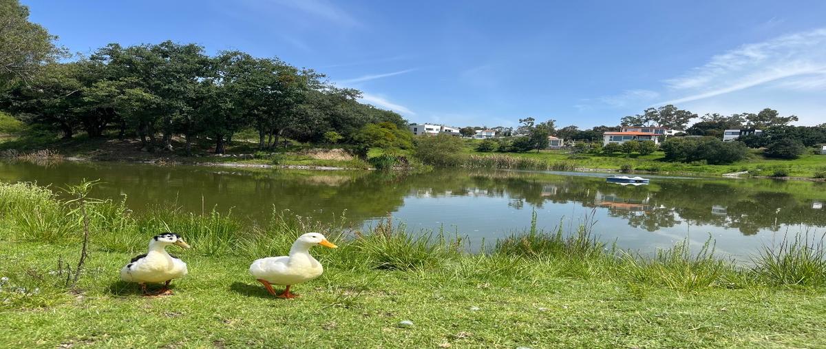 Foto de terreno habitacional en venta en  , campestre haras, amozoc, puebla, 0 No. 03