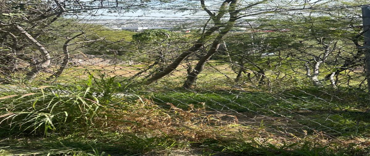 Foto de terreno habitacional en venta en  , campestre huertas la joya, querétaro, querétaro, 30990037 No. 04