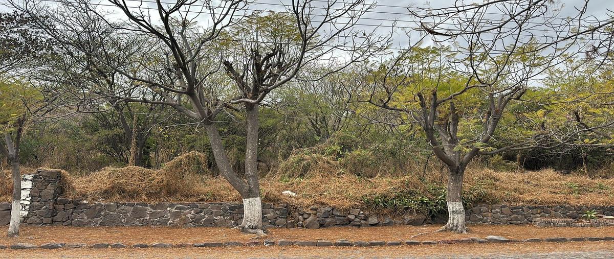 Foto de terreno habitacional en campestre huertas la joya whi313419, campestre huertas la joya, querétaro, querétaro, 0 foto 01 Foto de terreno habitacional en venta en campestre huertas la joya whi313419, campestre huertas la joya, querétaro, querétaro, 0 No. 01