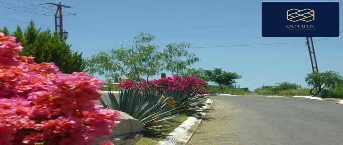 Foto de terreno habitacional en venta en  , campestre lomas del sur, romita, guanajuato, 0 No. 04