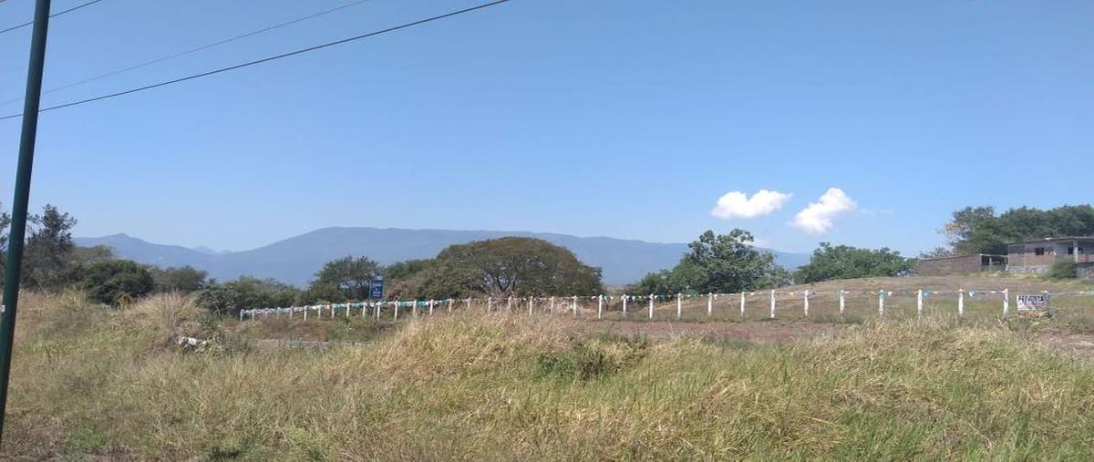 Foto de terreno habitacional en venta en campestre magico suchitlan 0, suchitlán, comala, colima, 0 No. 04