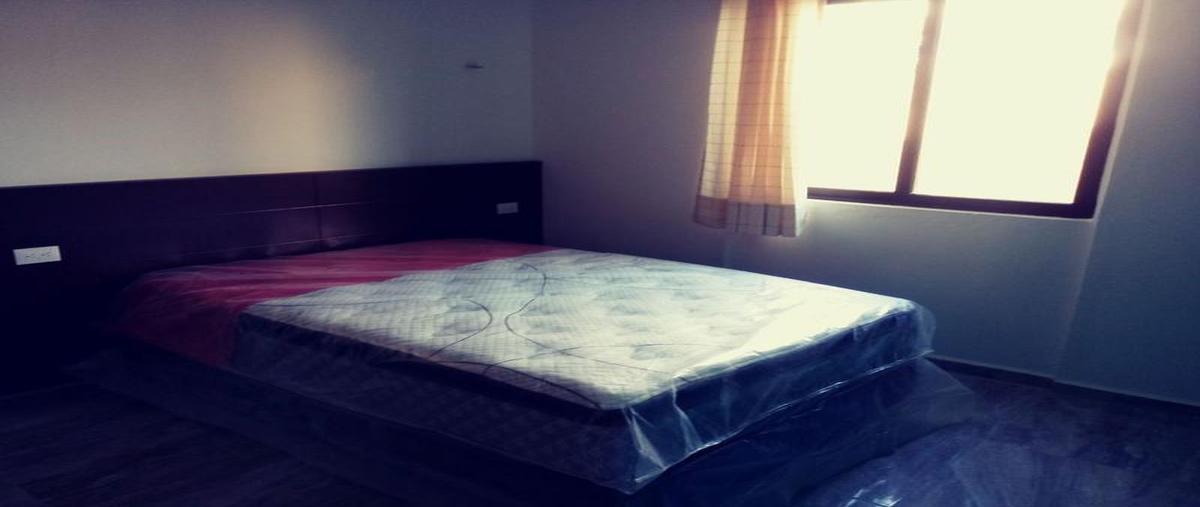 Foto de departamento en renta en  , campestre, mérida, yucatán, 10641511 No. 04