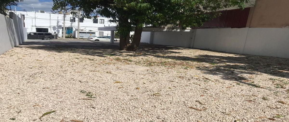 Foto de terreno comercial en - , campestre, mérida, yucatán, 0 foto 03 Foto de terreno comercial en renta en - , campestre, mérida, yucatán, 0 No. 03