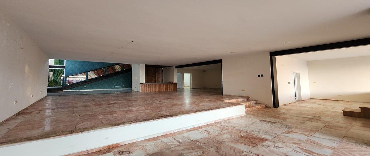 Foto de local en renta en  , campestre, mérida, yucatán, 30785825 No. 03