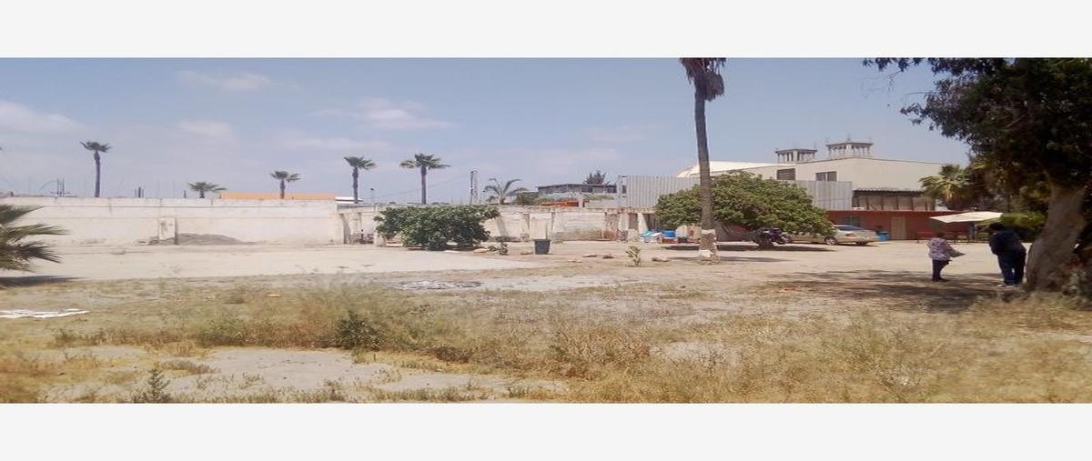 Foto de terreno comercial en venta en  , campestre murua, tijuana, baja california, 29175432 No. 04