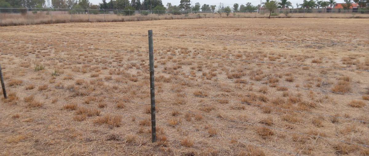 Foto de terreno habitacional en venta en  , campestre san carlos, pabellón de arteaga, aguascalientes, 0 No. 03