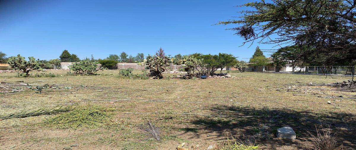 Foto de terreno habitacional en venta en  , campestre san carlos, pabellón de arteaga, aguascalientes, 0 No. 03