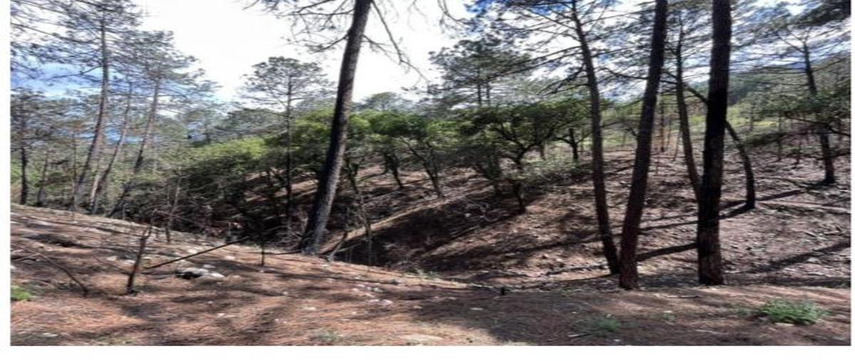 Foto de terreno habitacional en , campestre santiago, santiago, nuevo león, 27719789 foto 02 Foto de terreno habitacional en venta en , campestre santiago, santiago, nuevo león, 27719789 No. 02