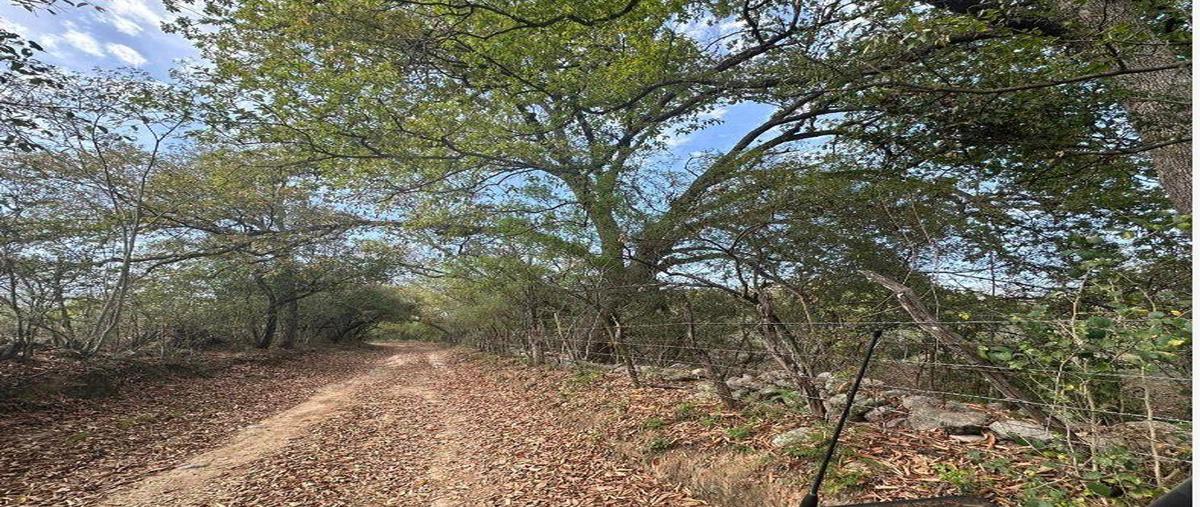 Foto de terreno habitacional en venta en  , campestre santiago, santiago, nuevo león, 0 No. 03