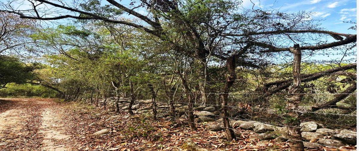 Foto de terreno habitacional en venta en  , campestre santiago, santiago, nuevo león, 0 No. 04