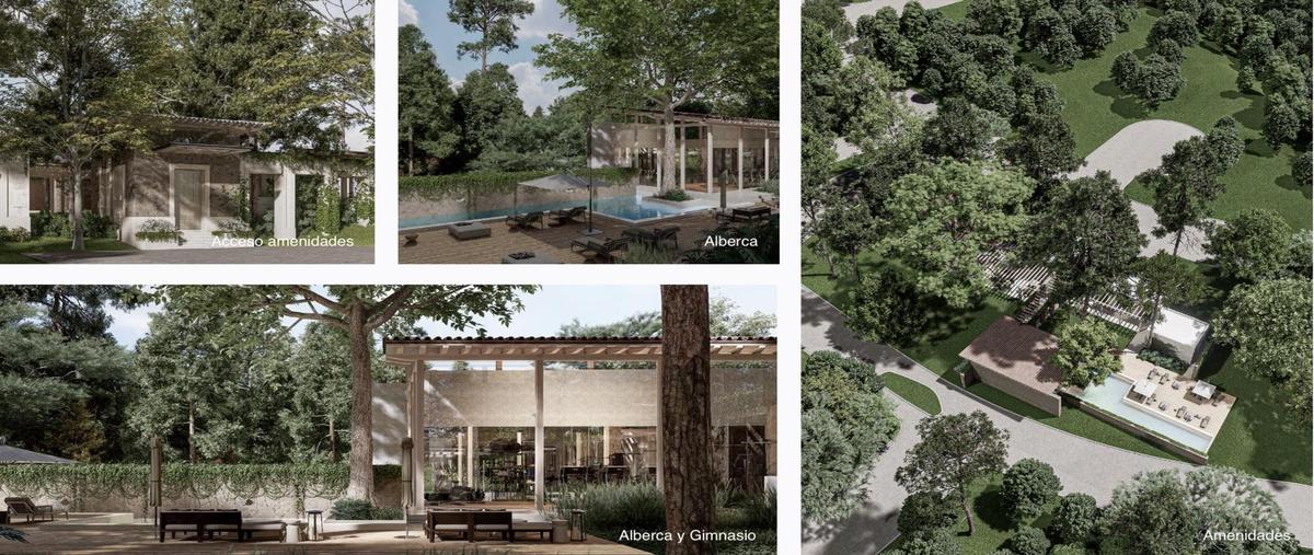 Foto de terreno habitacional en venta en  , campestre santiago, santiago, nuevo león, 0 No. 05