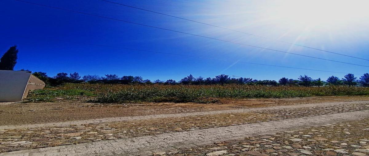 Foto de terreno habitacional en venta en  , campestre santuario de santa rita, san francisco del rincón, guanajuato, 0 No. 03