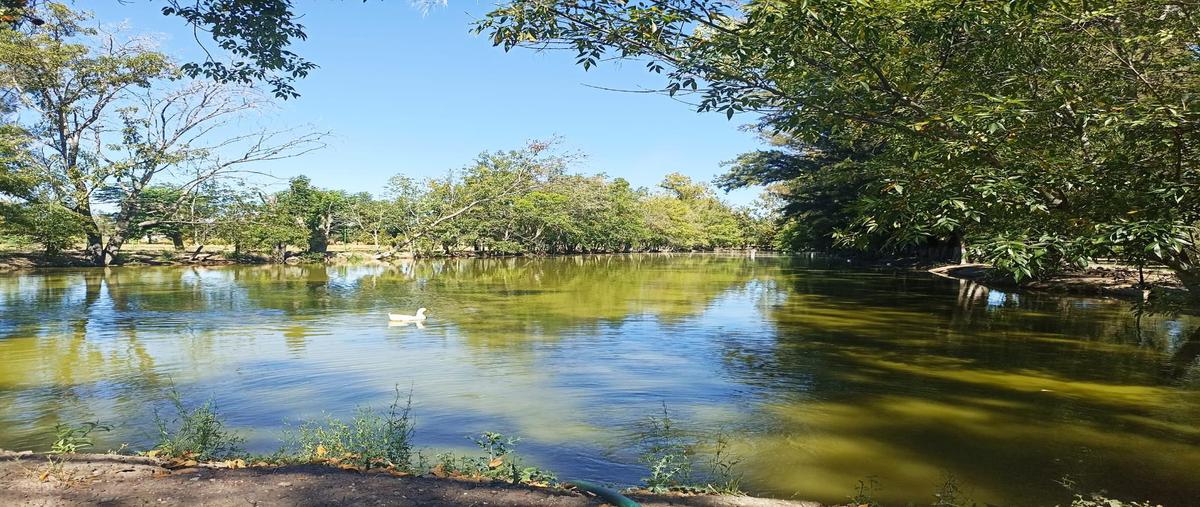 Foto de terreno habitacional en venta en  , campestre santuario de santa rita, san francisco del rincón, guanajuato, 0 No. 04