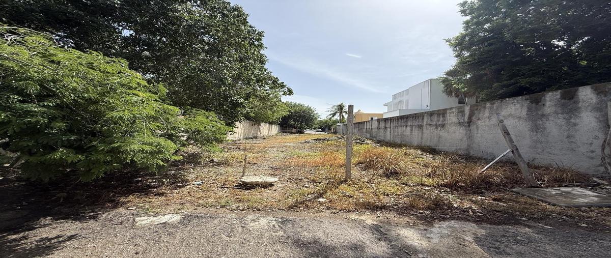Foto de terreno habitacional en venta en  , campestre, solidaridad, quintana roo, 0 No. 03