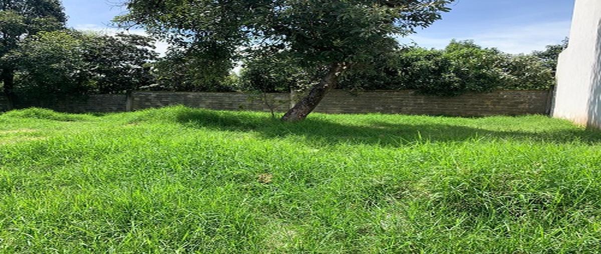 Foto de terreno habitacional en campestre zumpimito , campestre zumpimito, uruapan, michoacán de ocampo, 28842445 foto 01 Foto de terreno habitacional en venta en campestre zumpimito , campestre zumpimito, uruapan, michoacán de ocampo, 28842445 No. 01