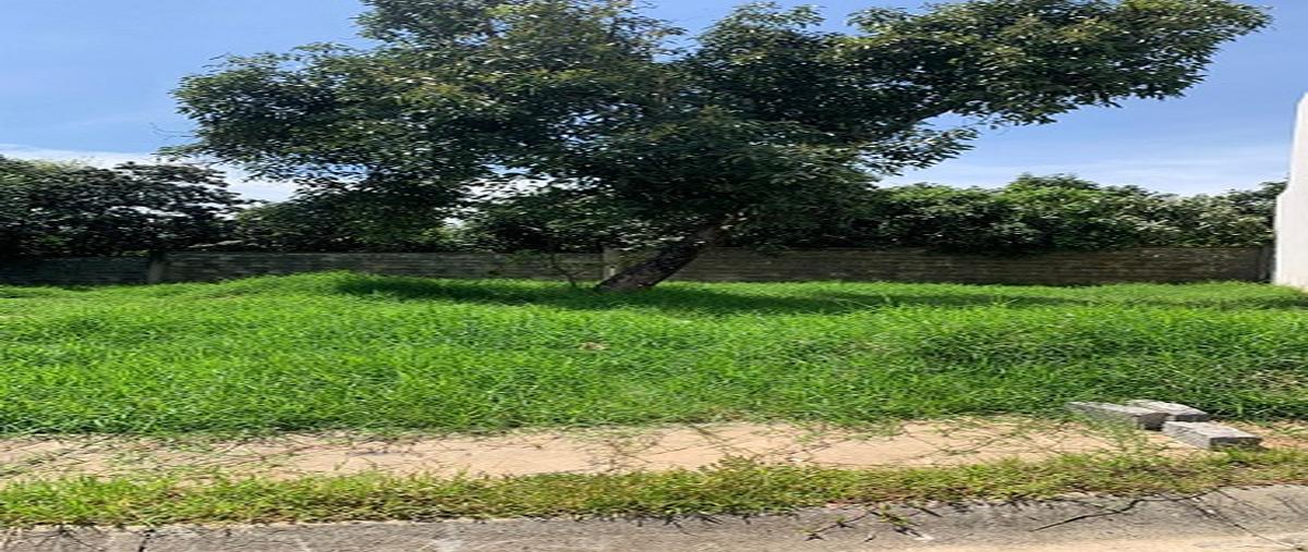 Foto de terreno habitacional en campestre zumpimito , campestre zumpimito, uruapan, michoacán de ocampo, 28842445 foto 02 Foto de terreno habitacional en venta en campestre zumpimito , campestre zumpimito, uruapan, michoacán de ocampo, 28842445 No. 02