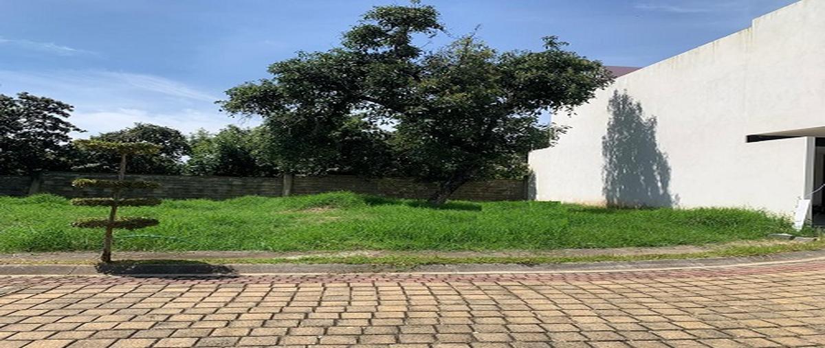Foto de terreno habitacional en campestre zumpimito , campestre zumpimito, uruapan, michoacán de ocampo, 28842445 foto 03 Foto de terreno habitacional en venta en campestre zumpimito , campestre zumpimito, uruapan, michoacán de ocampo, 28842445 No. 03