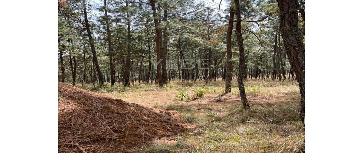 Foto de terreno habitacional en venta en campestreboskania , atemajac de brizuela, atemajac de brizuela, jalisco, 0 No. 05