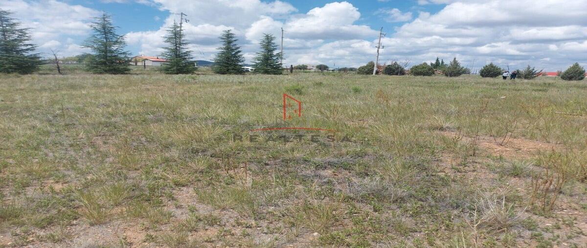 Foto de terreno habitacional en venta en  , campo 1b, cuauhtémoc, chihuahua, 0 No. 03